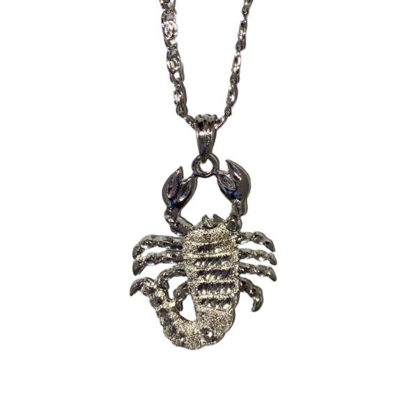 Large Silver Scorpion Necklace For Sale